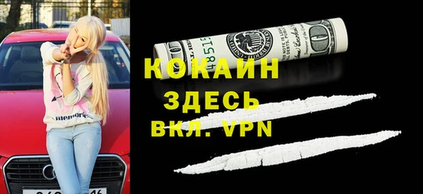дживик Пестово