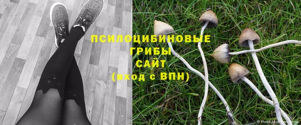 соль курить ск Армянск