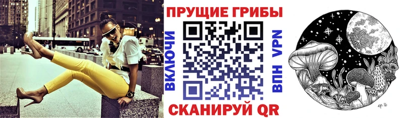 мега tor  Сасово  Галлюциногенные грибы мицелий 