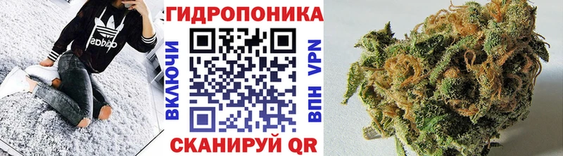 Канабис ГИДРОПОН  KRAKEN как войти  Сасово  цена наркотик 